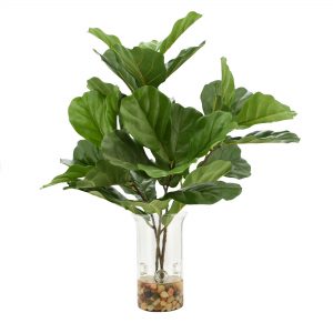 Fig Leaf Branch in a Glass Vase