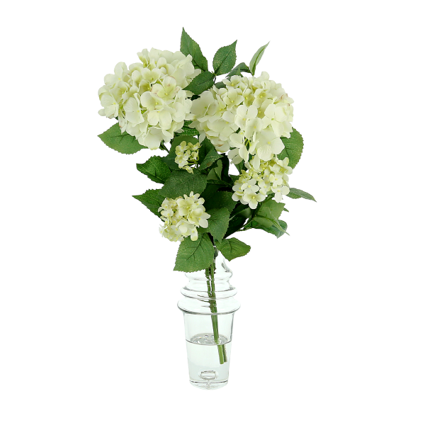 Hydrangea in Clear Glass Vase