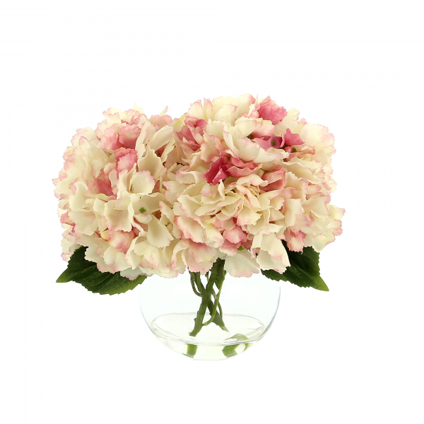 Hydrangea In Vase