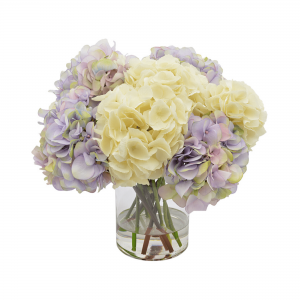 Assorted Hydrangea In Vase