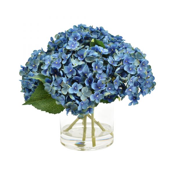 Dark blue hydrangea in vase