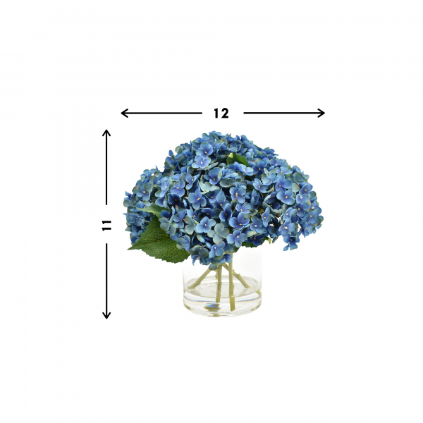 Dark blue hydrangea in vase