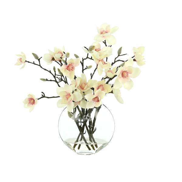 Butterfly Magnolia in Vase