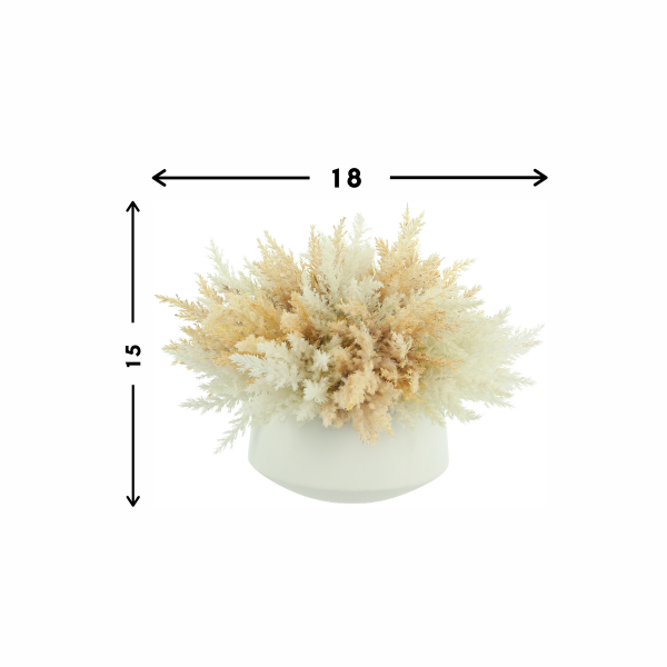 Beige Pampas In Vase