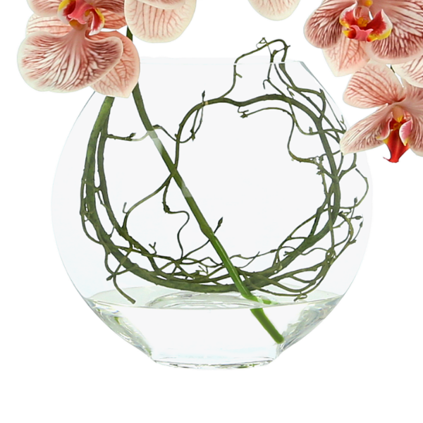 Orchid Arrangement in Vase