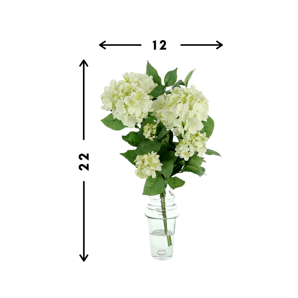 Hydrangea in Clear Glass Vase