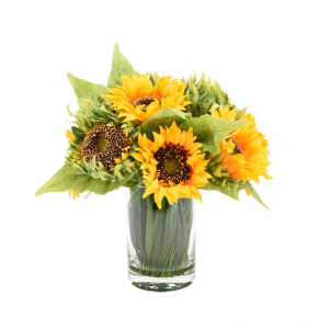 Sunflower in Glass Vase