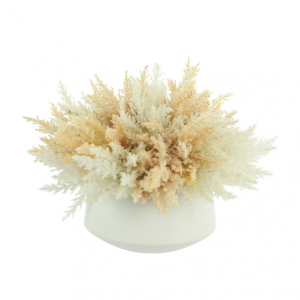 Beige Pampas In Vase