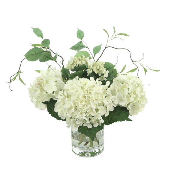 Cream Hydrangea in Vase