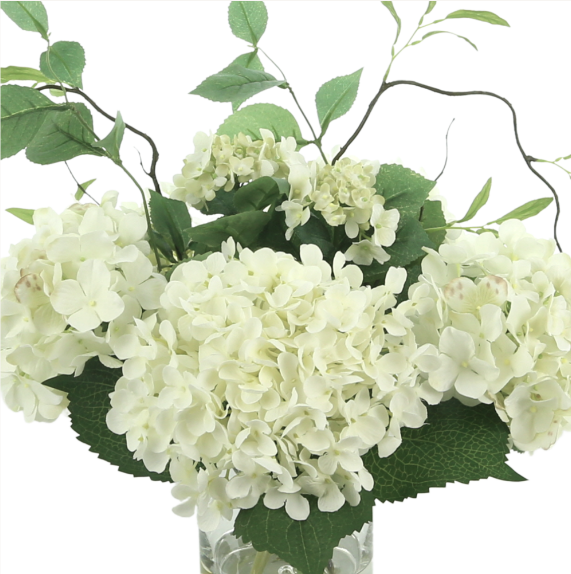 Cream Hydrangea in Vase