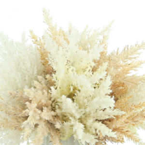 Beige Pampas In Vase