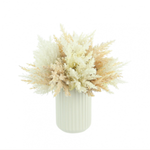 Beige Pampas In Vase