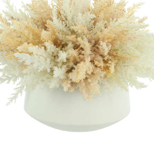 Beige Pampas In Vase