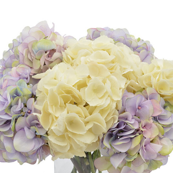 Assorted Hydrangea In Vase