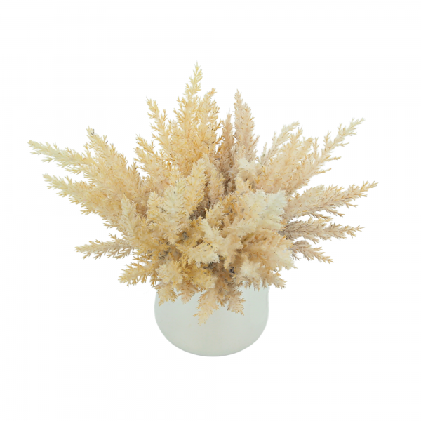 Pampas in a Glass Vase