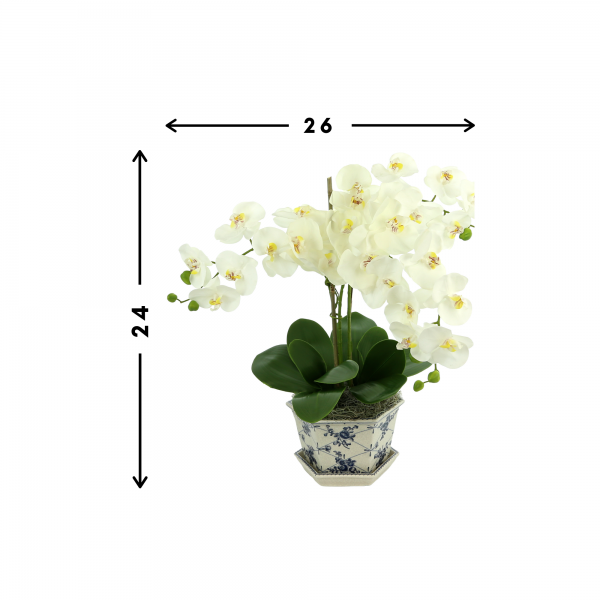 Orchid Floral Arrangement In Decorative Vase