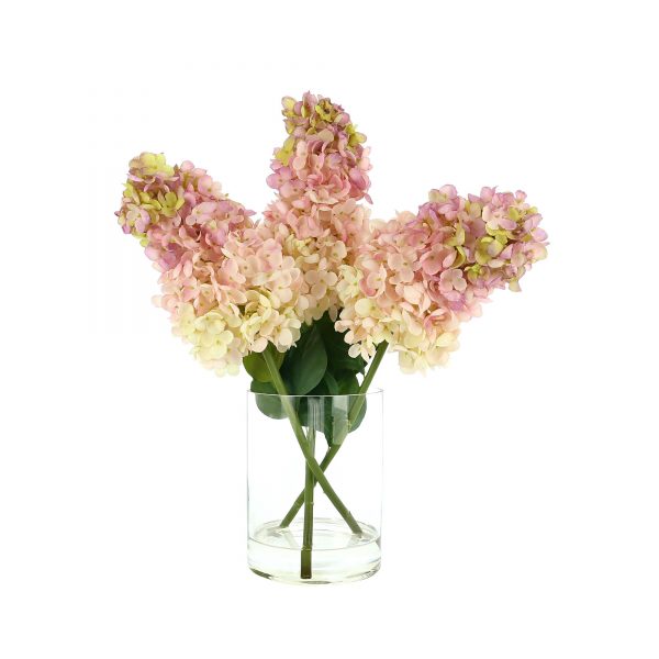 Cone shaped hydrangea in glass vase