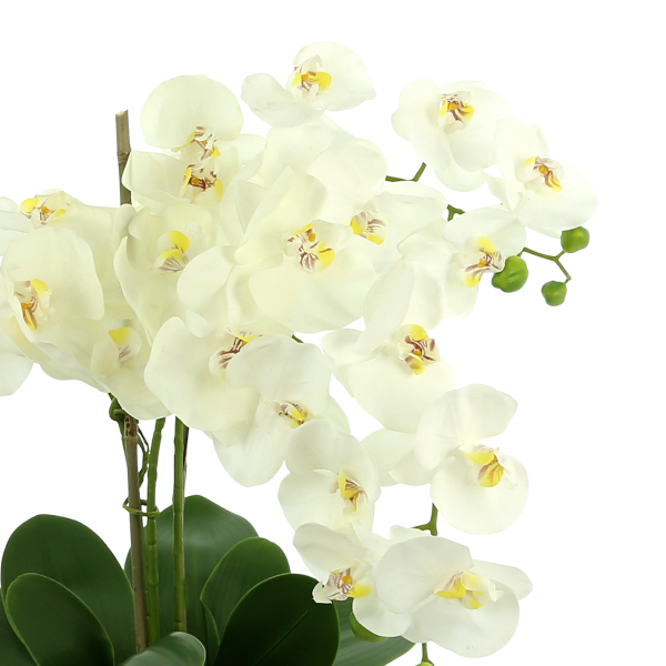 Orchid Floral Arrangement In Decorative Vase