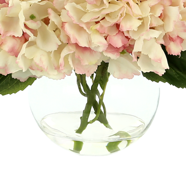 Hydrangea In Vase