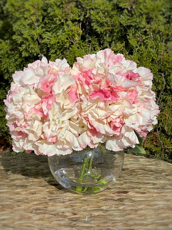 Hydrangea In Vase