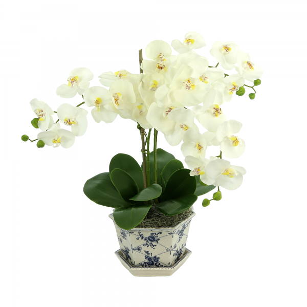 Orchid Floral Arrangement In Decorative Vase