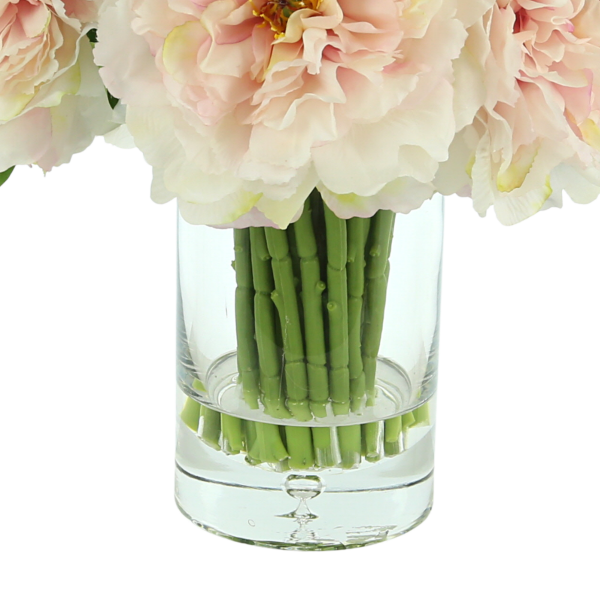 Peony in a Glass Vase