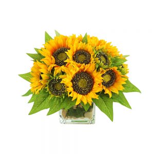 Sunflower in Glass Vase with Stones and Moss