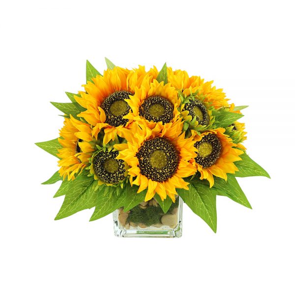 Sunflower in Glass Vase with Stones and Moss