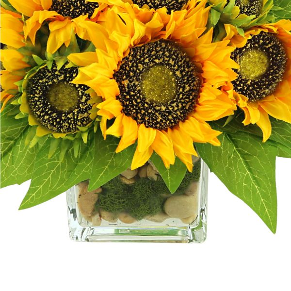Sunflower in Glass Vase with Stones and Moss - Image 3