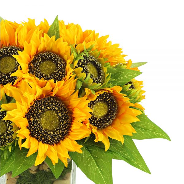 Sunflower in Glass Vase with Stones and Moss - Image 5