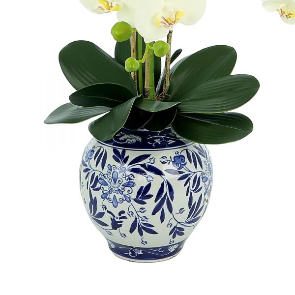 Orchids in Ceramic Vase