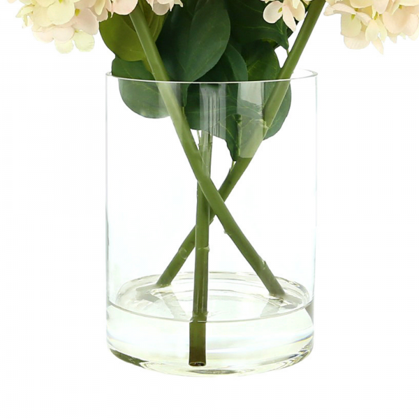 Cone shaped hydrangea in glass vase