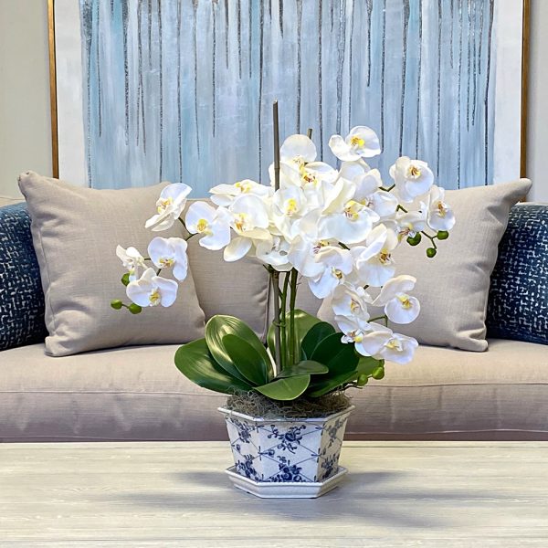 Orchid Floral Arrangement in Decorative Vase