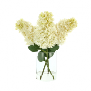 Cone Hydrangea In Vase