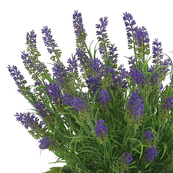 Lavender In Glass Vase with Seashells - Image 3