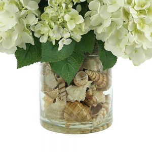 Hydrangea In Glass Vase with Seashells
