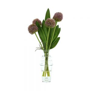 Allium, Orchid Leaves In Glass Vase