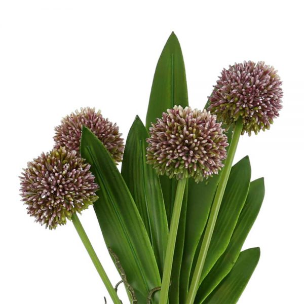 Allium, Orchid Leaves In Glass Vase