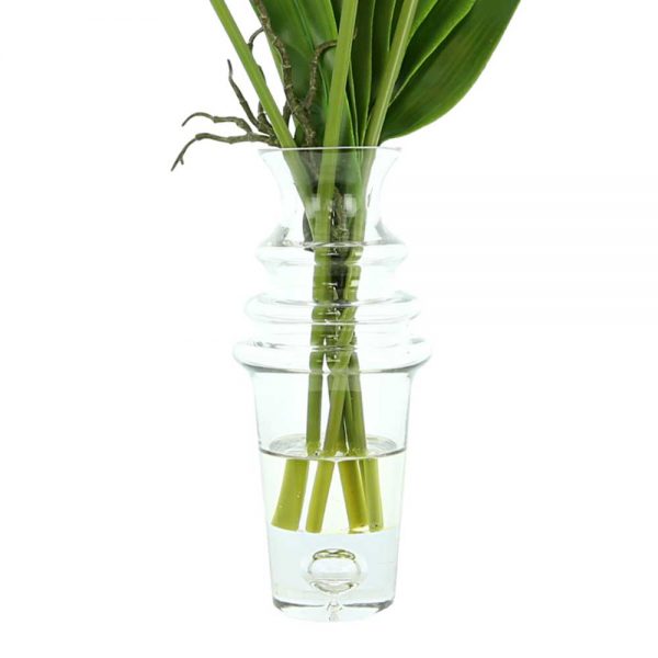 Allium, Orchid Leaves In Glass Vase