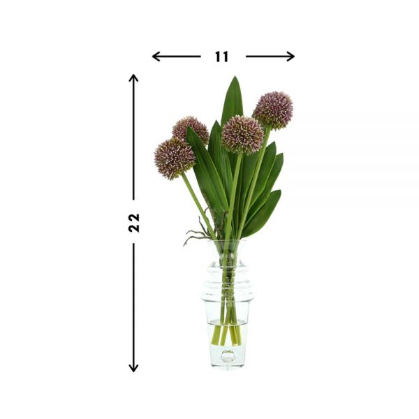Allium, Orchid Leaves In Glass Vase