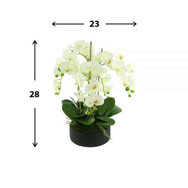 Orchids In Round Fiberstone Planter