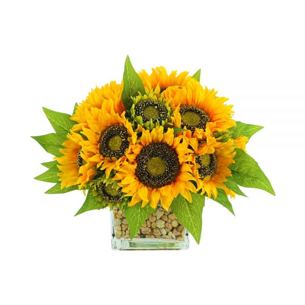 Sunflowers In Square Glass Vase with Stones