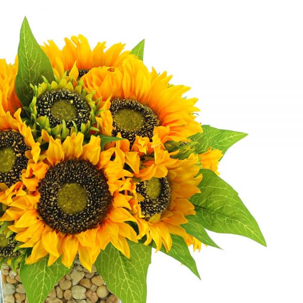 Sunflowers In Square Glass Vase with Stones