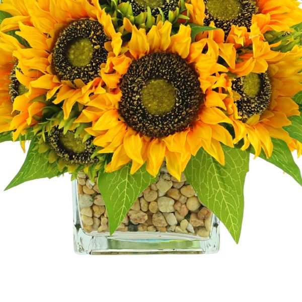 Sunflowers In Square Glass Vase with Stones