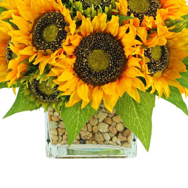 Sunflowers In Square Glass Vase with Stones