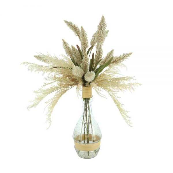 Pampas, Pennisetum In Tall Glass Vase