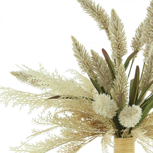 Pampas, Pennisetum In Tall Glass Vase