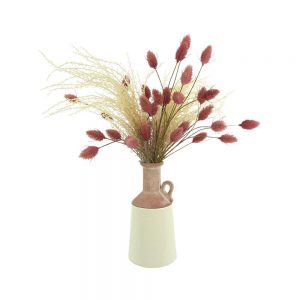 Pampas, Hare's Tail In Ceramic Vase