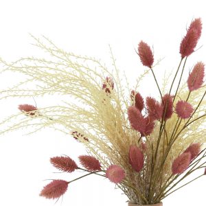 Pampas, Hare's Tail In Ceramic Vase