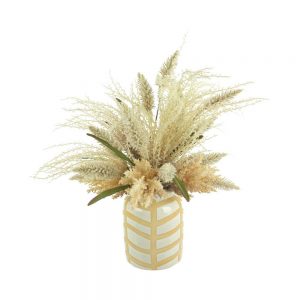 Pampas, Pennisetum In Decorative Ceramic Vase